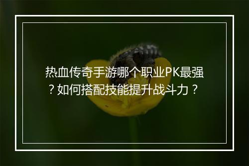 热血传奇手游哪个职业PK最强？如何搭配技能提升战斗力？