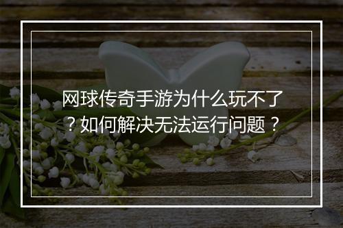 网球传奇手游为什么玩不了？如何解决无法运行问题？