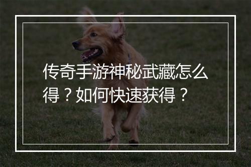传奇手游神秘武藏怎么得？如何快速获得？