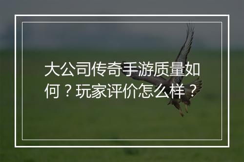 大公司传奇手游质量如何？玩家评价怎么样？