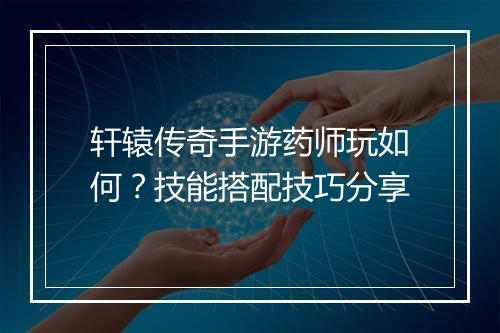 轩辕传奇手游药师玩如何？技能搭配技巧分享