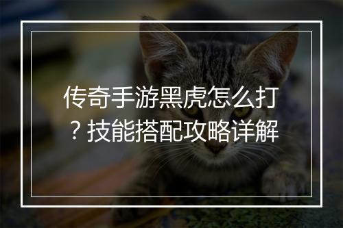 传奇手游黑虎怎么打？技能搭配攻略详解