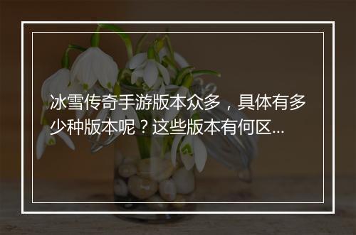 冰雪传奇手游版本众多，具体有多少种版本呢？这些版本有何区别？