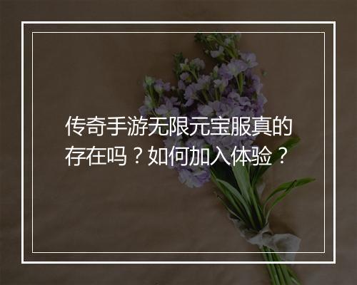 传奇手游无限元宝服真的存在吗？如何加入体验？
