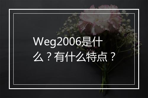 Weg2006是什么？有什么特点？