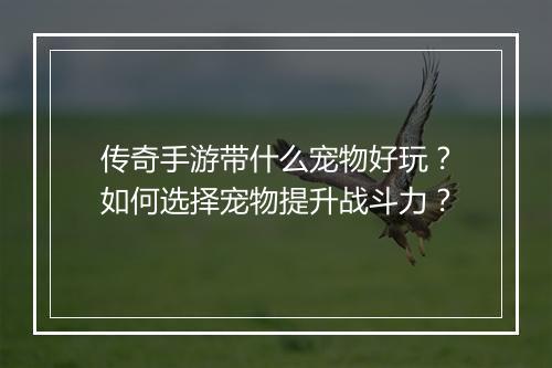 传奇手游带什么宠物好玩？如何选择宠物提升战斗力？