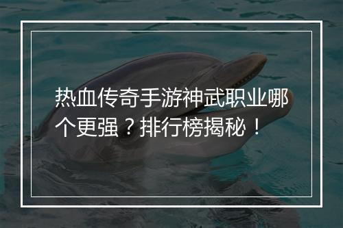 热血传奇手游神武职业哪个更强？排行榜揭秘！