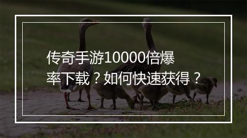 传奇手游10000倍爆率下载？如何快速获得？