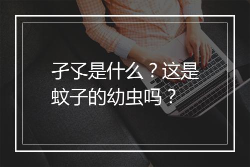 孑孓是什么？这是蚊子的幼虫吗？