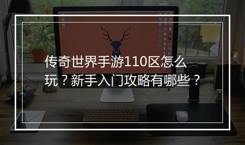 传奇世界手游110区怎么玩？新手入门攻略有哪些？