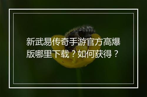 新武易传奇手游官方高爆版哪里下载？如何获得？