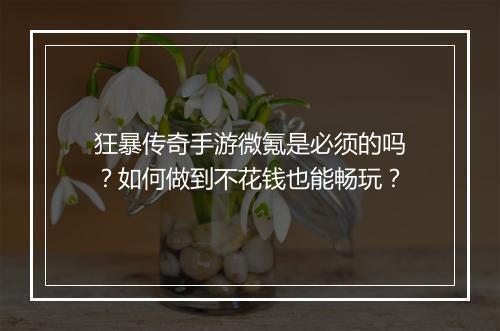 狂暴传奇手游微氪是必须的吗？如何做到不花钱也能畅玩？