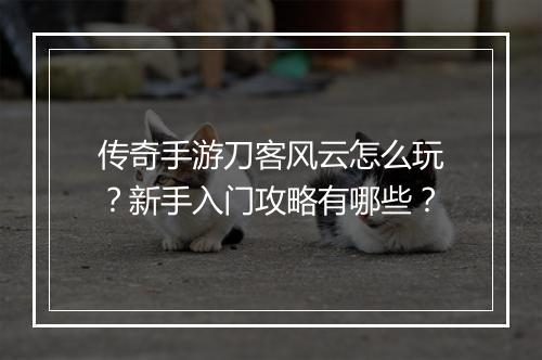 传奇手游刀客风云怎么玩？新手入门攻略有哪些？