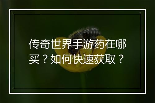传奇世界手游药在哪买？如何快速获取？