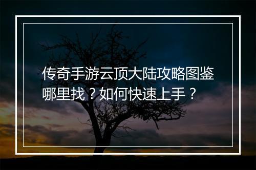 传奇手游云顶大陆攻略图鉴哪里找？如何快速上手？