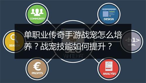 单职业传奇手游战宠怎么培养？战宠技能如何提升？