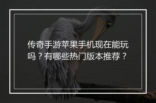 传奇手游苹果手机现在能玩吗？有哪些热门版本推荐？