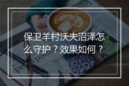 保卫羊村沃夫沼泽怎么守护？效果如何？
