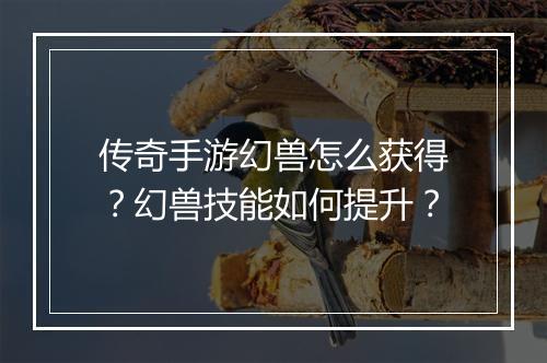 传奇手游幻兽怎么获得？幻兽技能如何提升？
