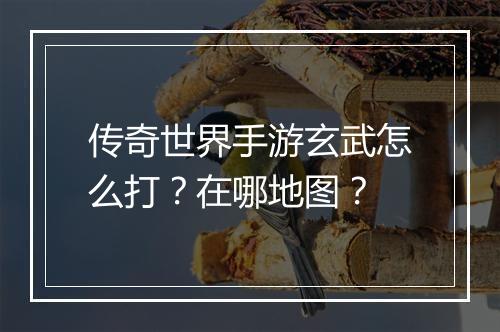 传奇世界手游玄武怎么打？在哪地图？
