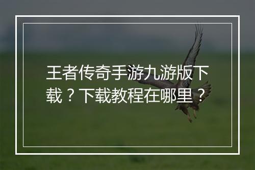 王者传奇手游九游版下载？下载教程在哪里？