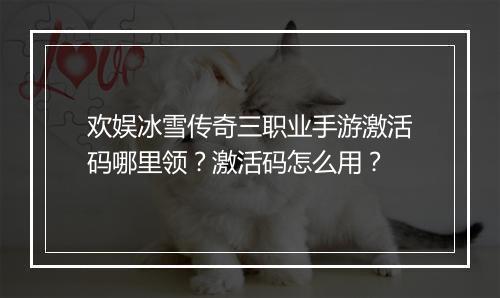 欢娱冰雪传奇三职业手游激活码哪里领？激活码怎么用？
