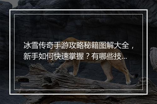 冰雪传奇手游攻略秘籍图解大全，新手如何快速掌握？有哪些技巧？
