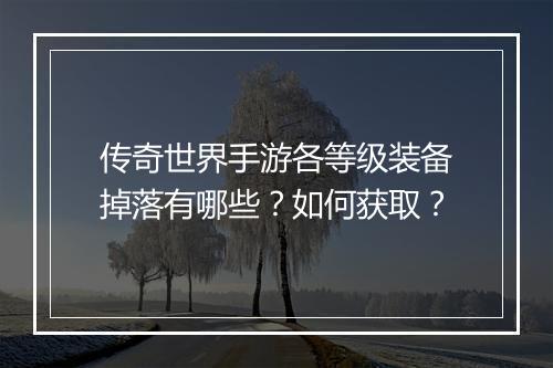 传奇世界手游各等级装备掉落有哪些？如何获取？