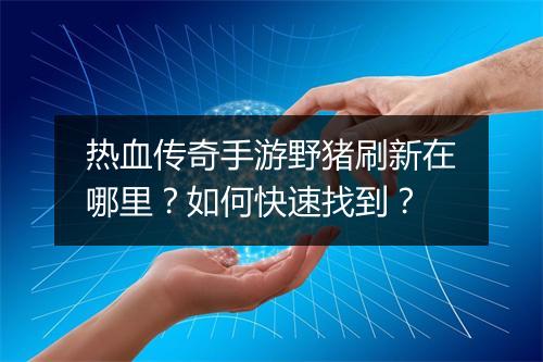 热血传奇手游野猪刷新在哪里？如何快速找到？