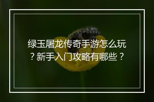 绿玉屠龙传奇手游怎么玩？新手入门攻略有哪些？