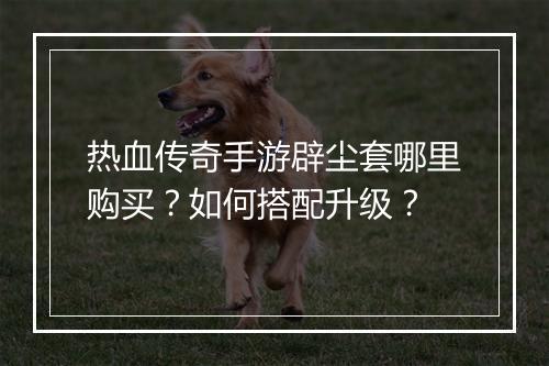 热血传奇手游辟尘套哪里购买？如何搭配升级？