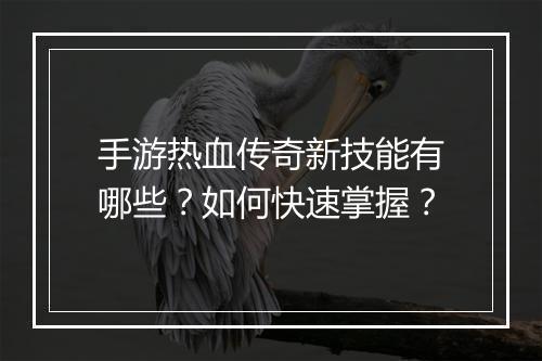 手游热血传奇新技能有哪些？如何快速掌握？