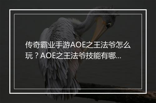 传奇霸业手游AOE之王法爷怎么玩？AOE之王法爷技能有哪些？