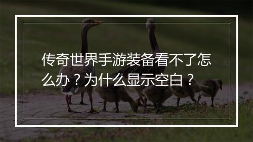 传奇世界手游装备看不了怎么办？为什么显示空白？