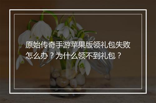 原始传奇手游苹果版领礼包失败怎么办？为什么领不到礼包？