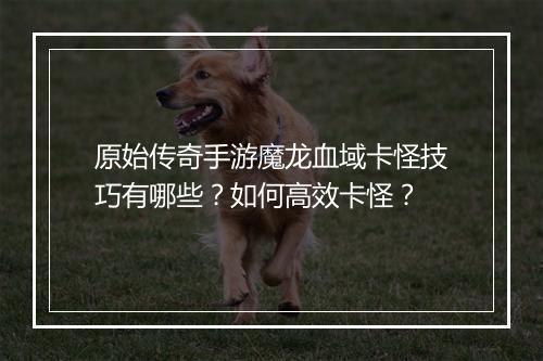 原始传奇手游魔龙血域卡怪技巧有哪些？如何高效卡怪？