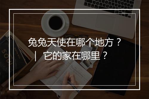 兔兔天使在哪个地方？ ｜ 它的家在哪里？