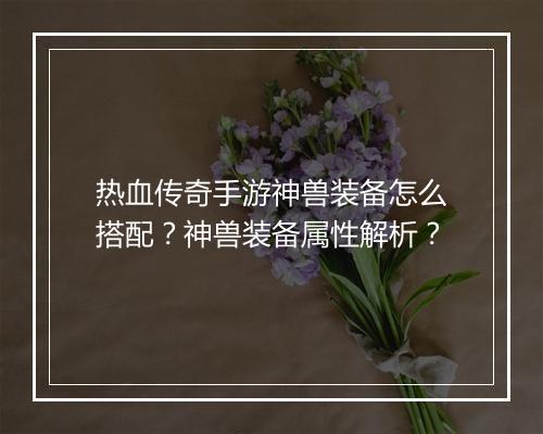 热血传奇手游神兽装备怎么搭配？神兽装备属性解析？