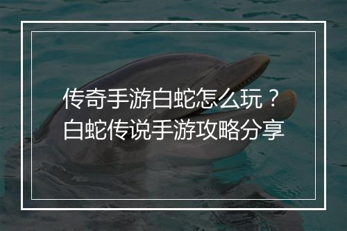 传奇手游白蛇怎么玩？白蛇传说手游攻略分享