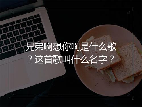兄弟啊想你啊是什么歌？这首歌叫什么名字？