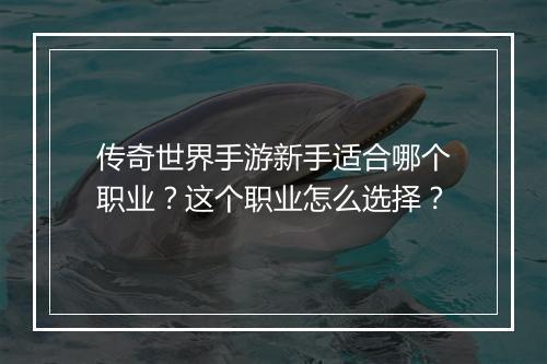 传奇世界手游新手适合哪个职业？这个职业怎么选择？