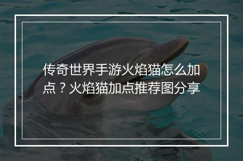 传奇世界手游火焰猫怎么加点？火焰猫加点推荐图分享