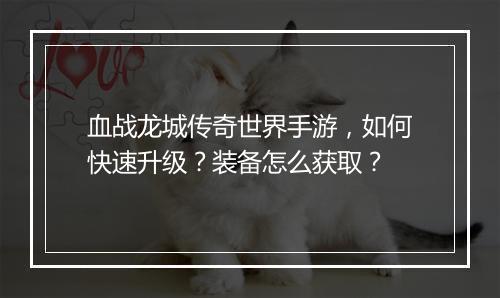血战龙城传奇世界手游，如何快速升级？装备怎么获取？