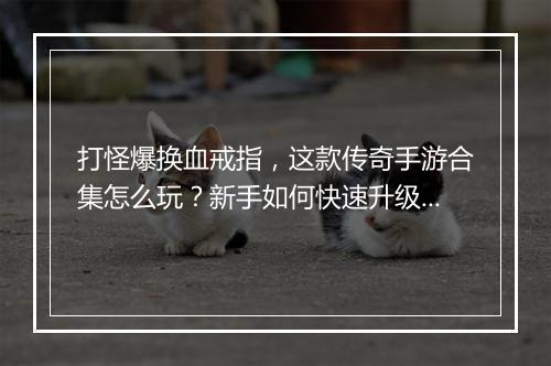 打怪爆换血戒指，这款传奇手游合集怎么玩？新手如何快速升级？