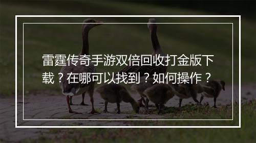 雷霆传奇手游双倍回收打金版下载？在哪可以找到？如何操作？