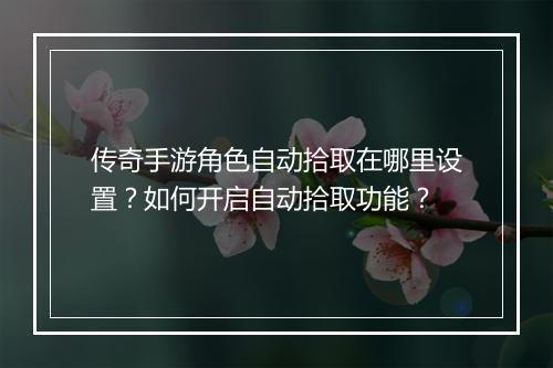 传奇手游角色自动拾取在哪里设置？如何开启自动拾取功能？