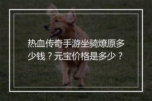 热血传奇手游坐骑燎原多少钱？元宝价格是多少？