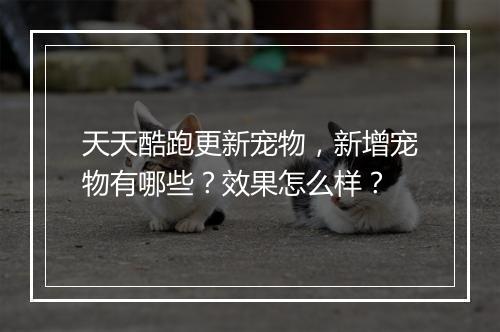 天天酷跑更新宠物，新增宠物有哪些？效果怎么样？