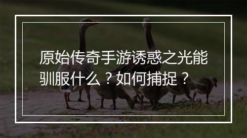 原始传奇手游诱惑之光能驯服什么？如何捕捉？