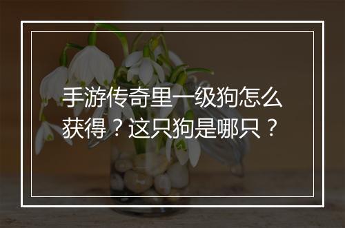 手游传奇里一级狗怎么获得？这只狗是哪只？